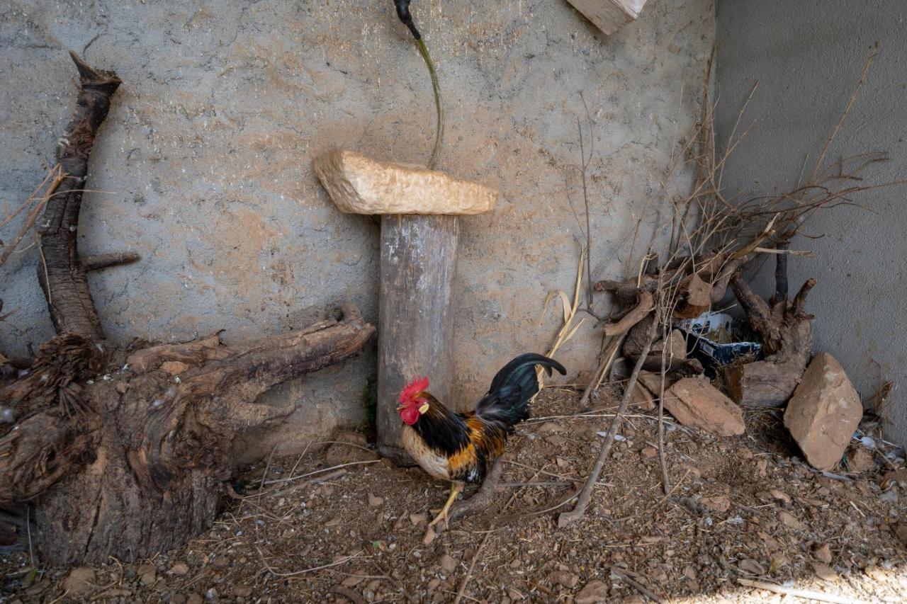 Pensjonat Reul Alto Cortijos Rurales Laroya Zewnętrze zdjęcie