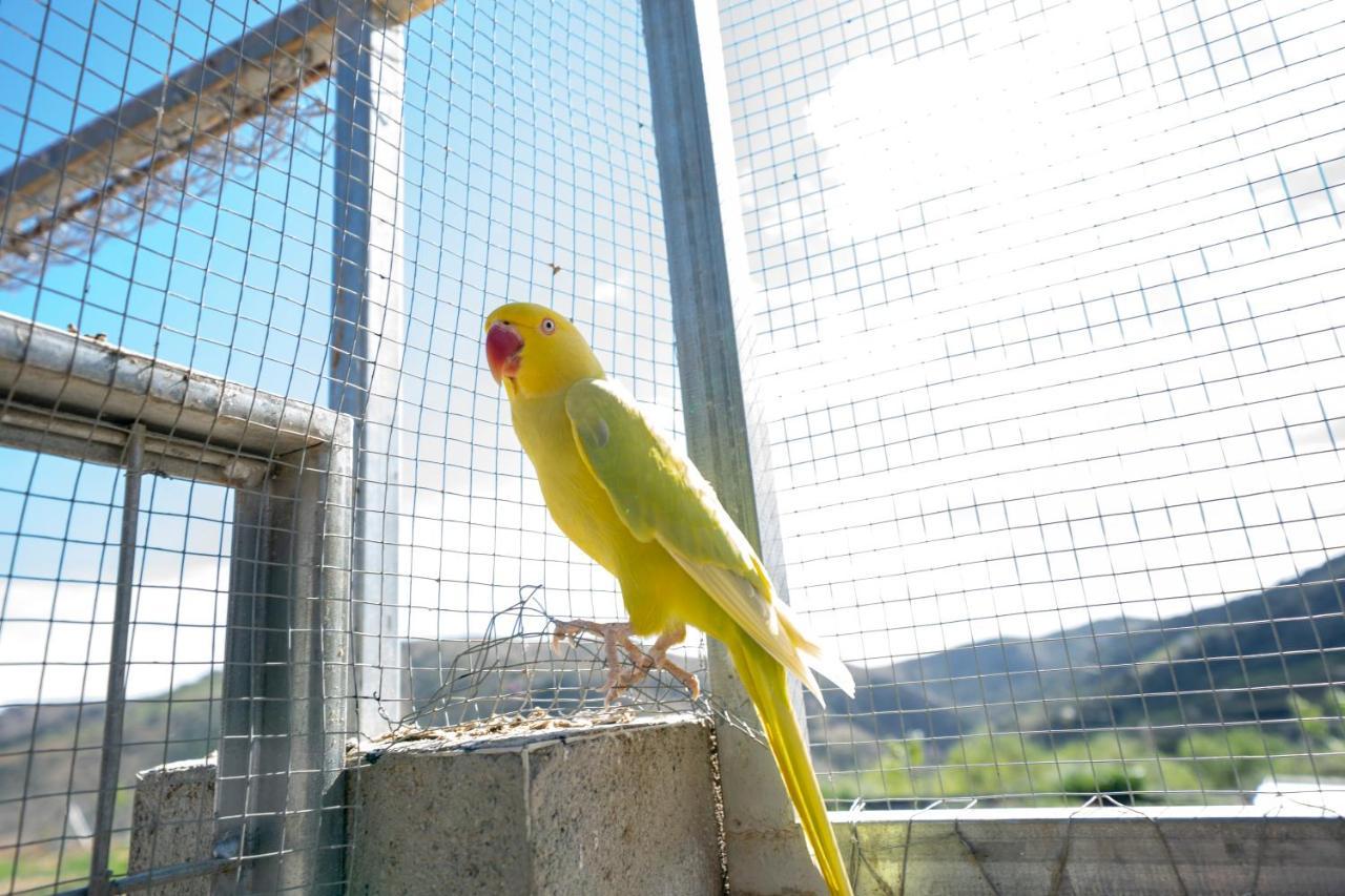 Pensjonat Reul Alto Cortijos Rurales Laroya Zewnętrze zdjęcie